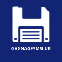 Geymsla og minni